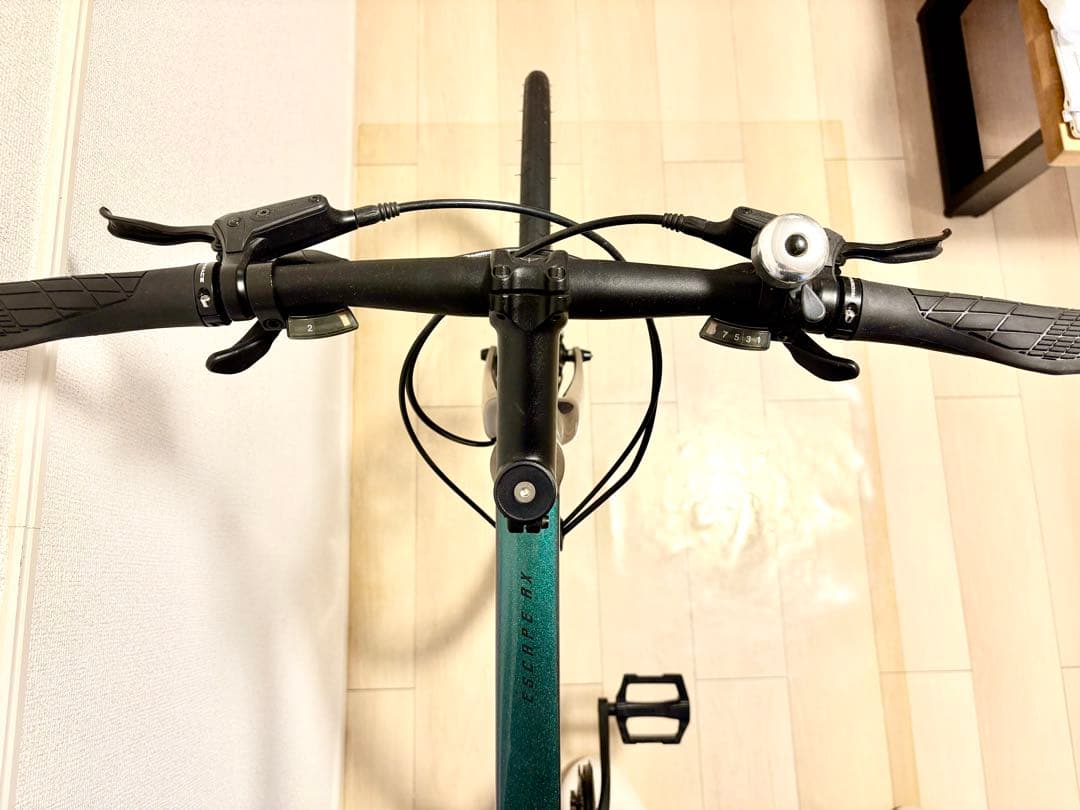 ⭐︎希少極上2022 Giant RX2 Disc ジャイアント ディスクブレーキ