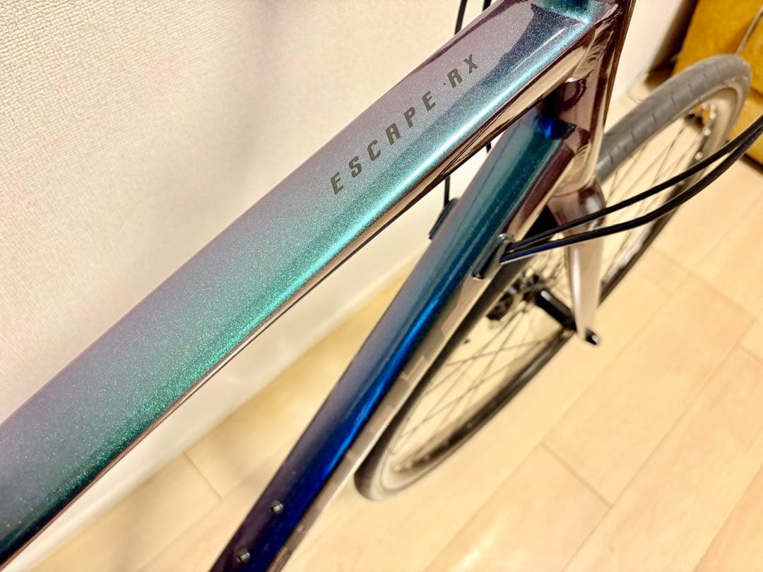 ⭐︎希少極上2022 Giant RX2 Disc ジャイアント ディスクブレーキ