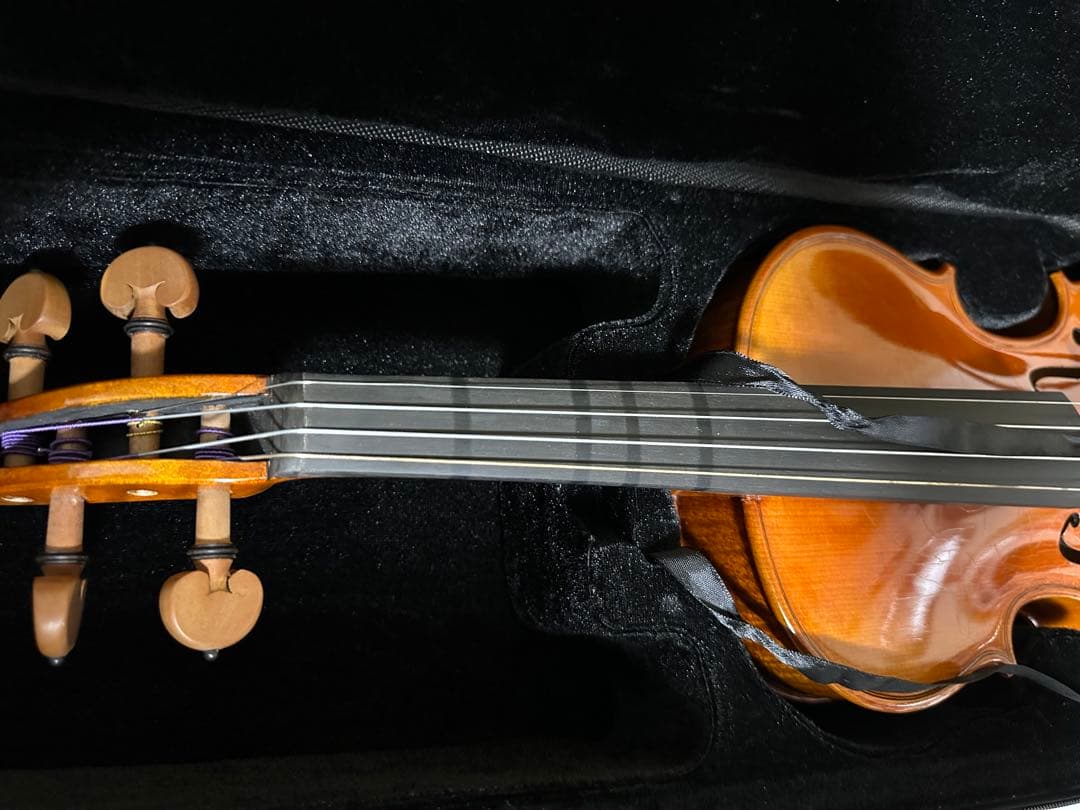 ★値下げ中★Carlo giordano VS-2 4/4 バイオリン水色ケース