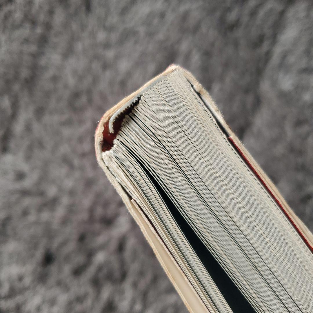 ウィリアム・クライン　写真集　ニューヨーク