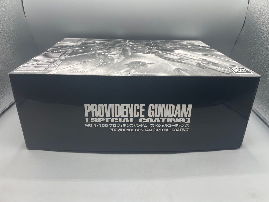 未組立 1/100 MG プロヴィデンスガンダム スペシャルコーティング 限定