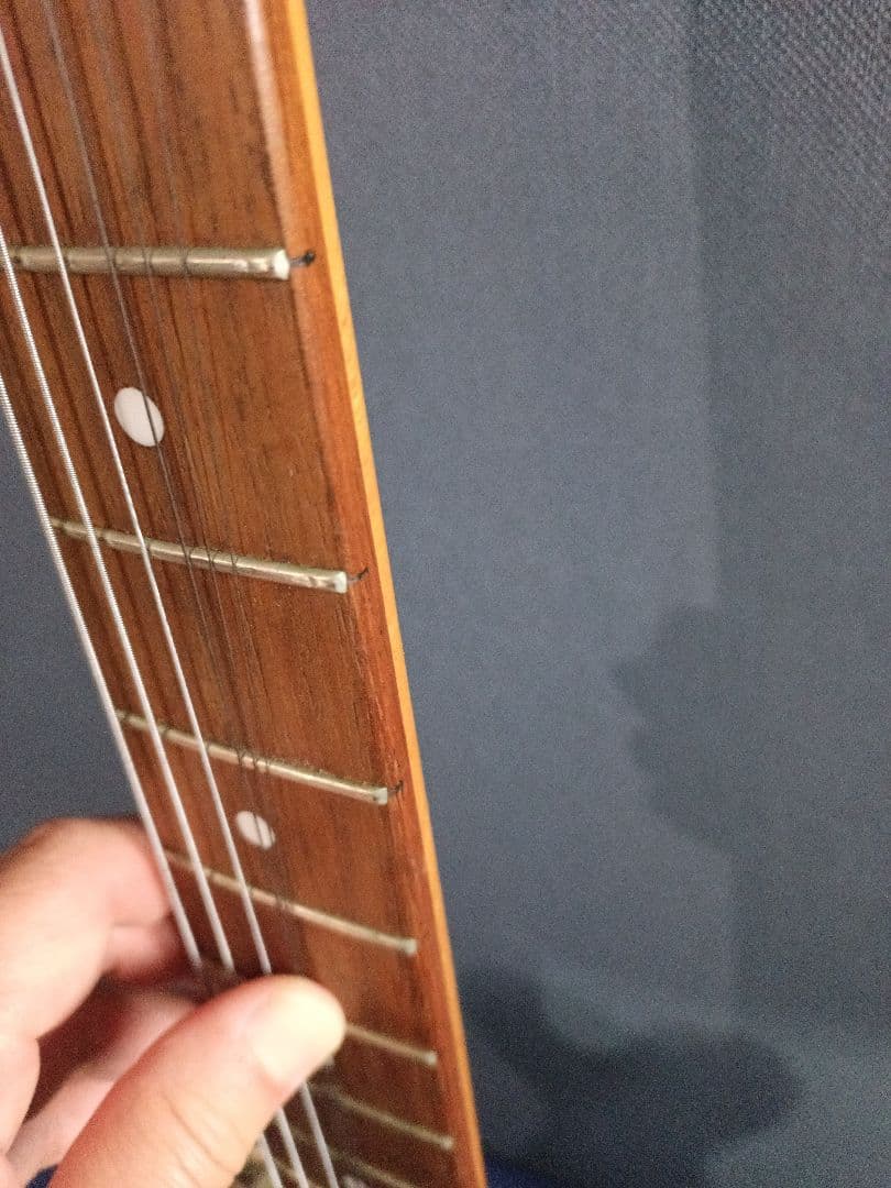 Rz FERNANDES リミテッドエディション テレキャスタータイプ