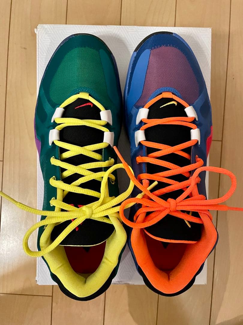 NIKE、ズームフリーク1、29センチ