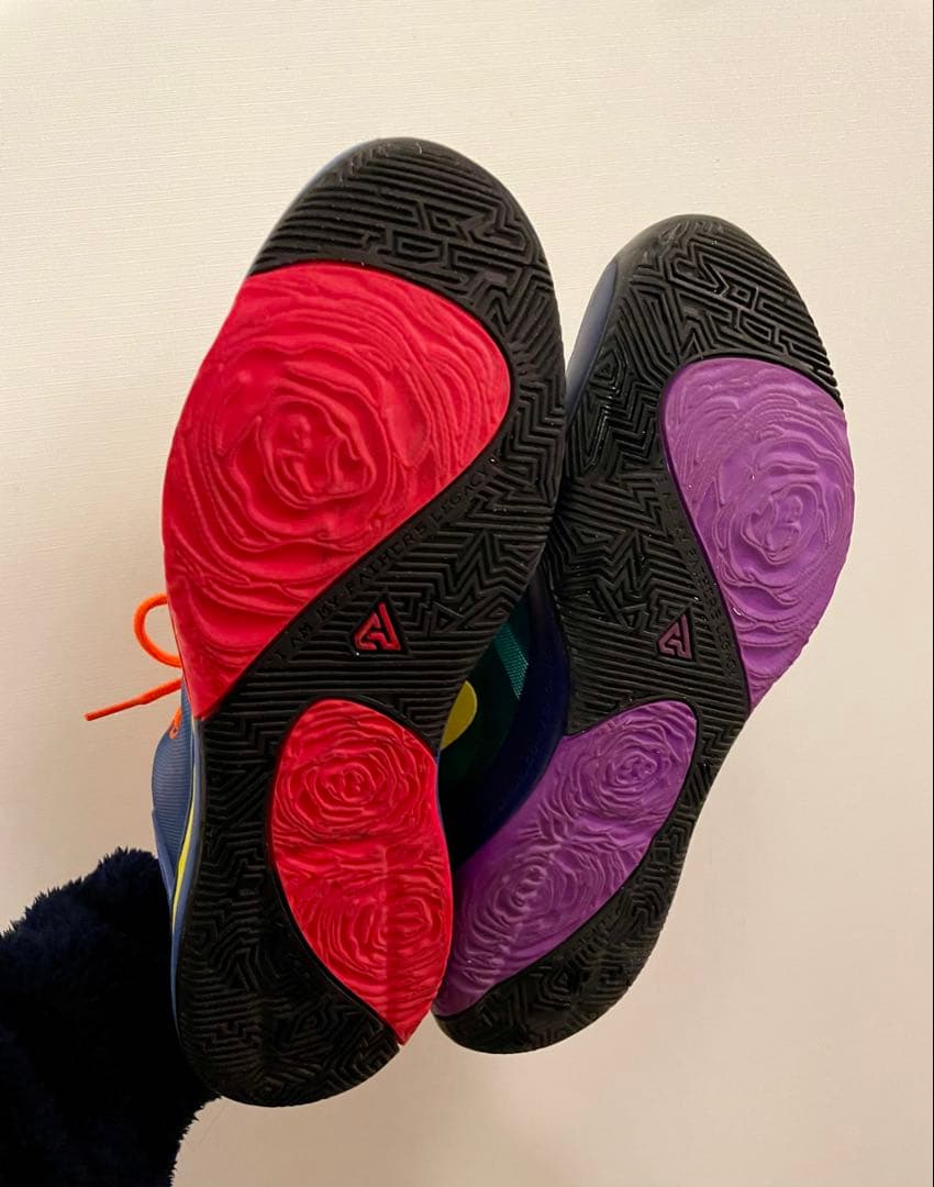 NIKE、ズームフリーク1、29センチ