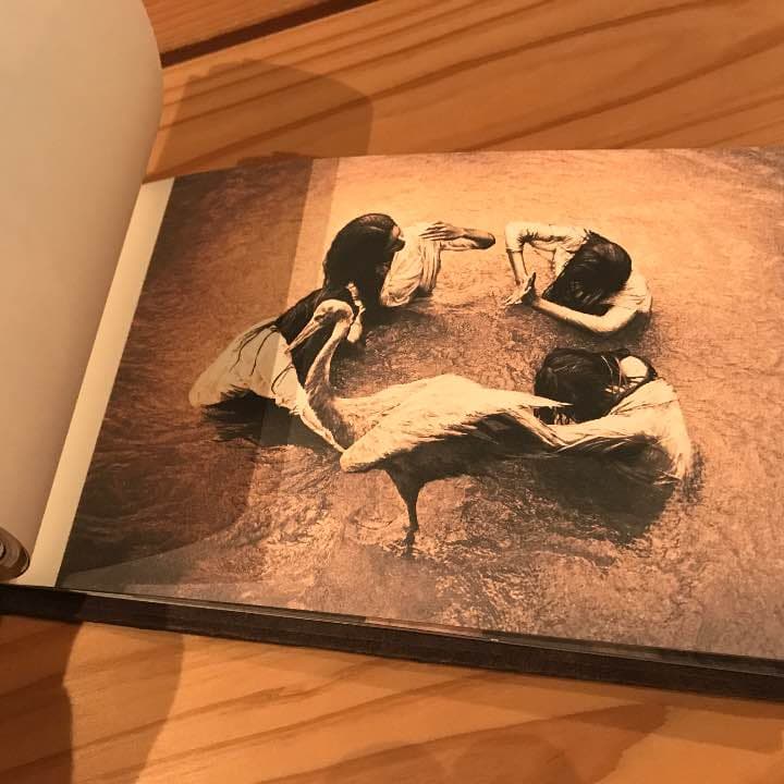 feather and 美術 写真集