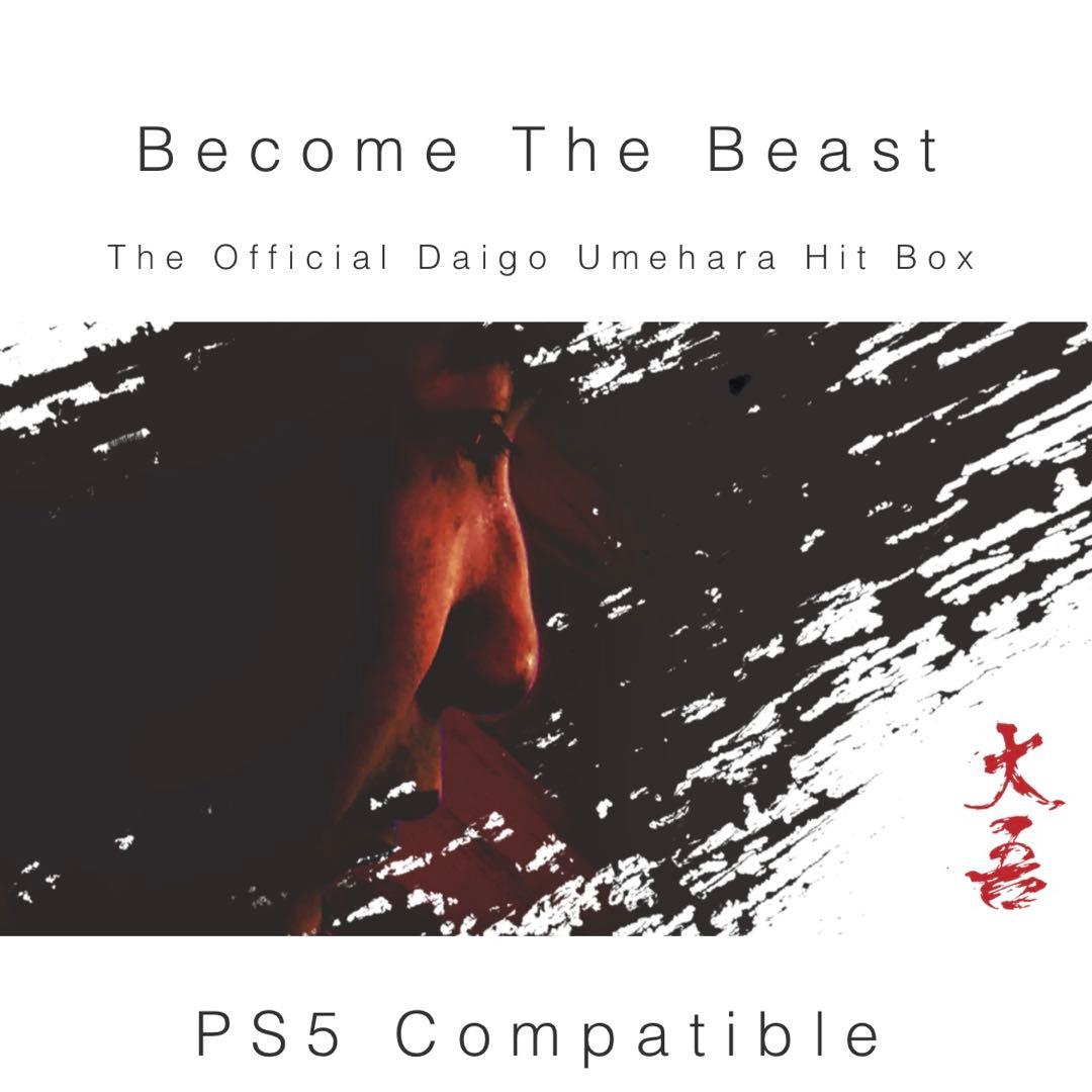 ウメハラモデル BEASTBOX レバーレス hitbox ヒットボックス