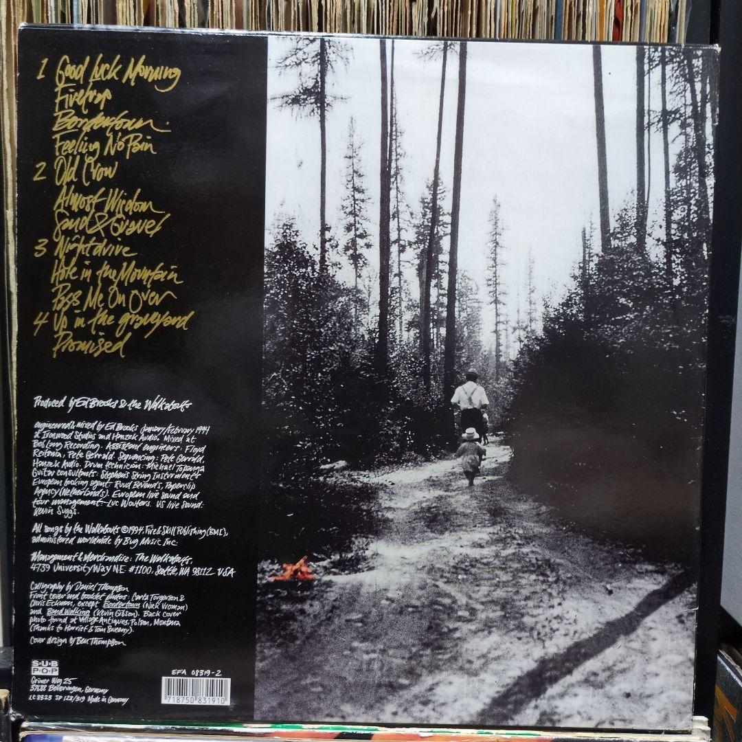 洋楽 The Walkabouts/Setting the Woods on Fire