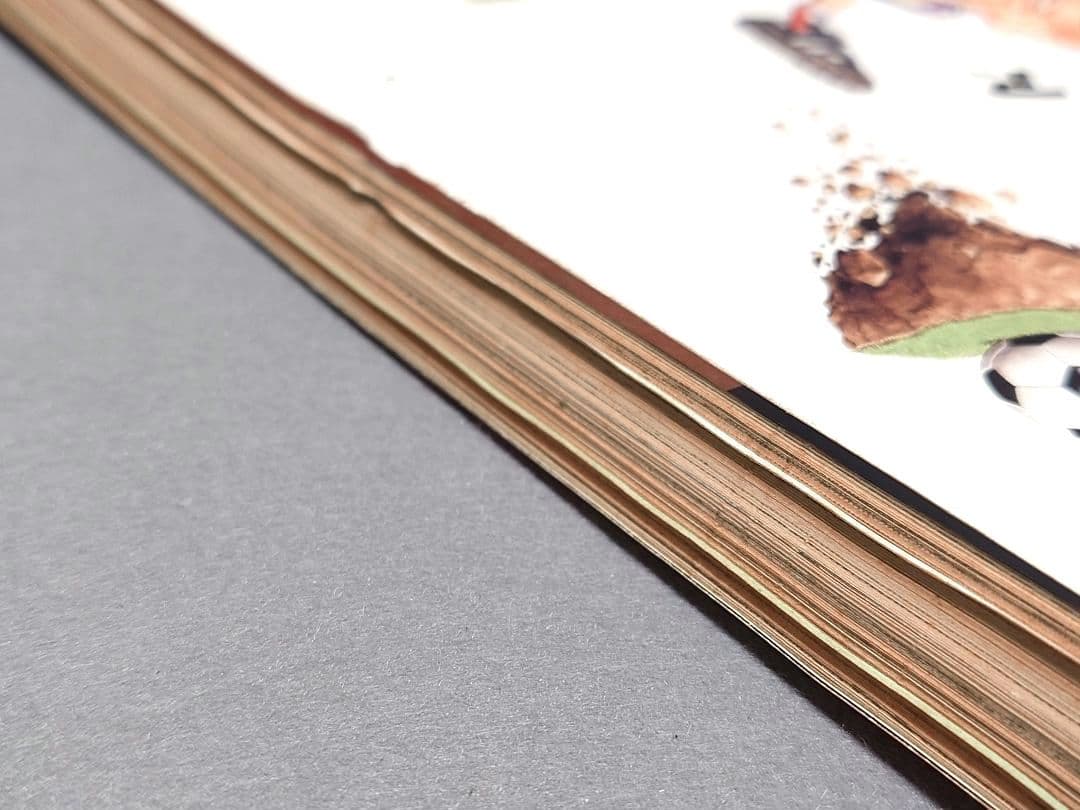 週刊ヤングマガジン1994年6月27日27号『1・2の三四郎2』表紙/小林まこと