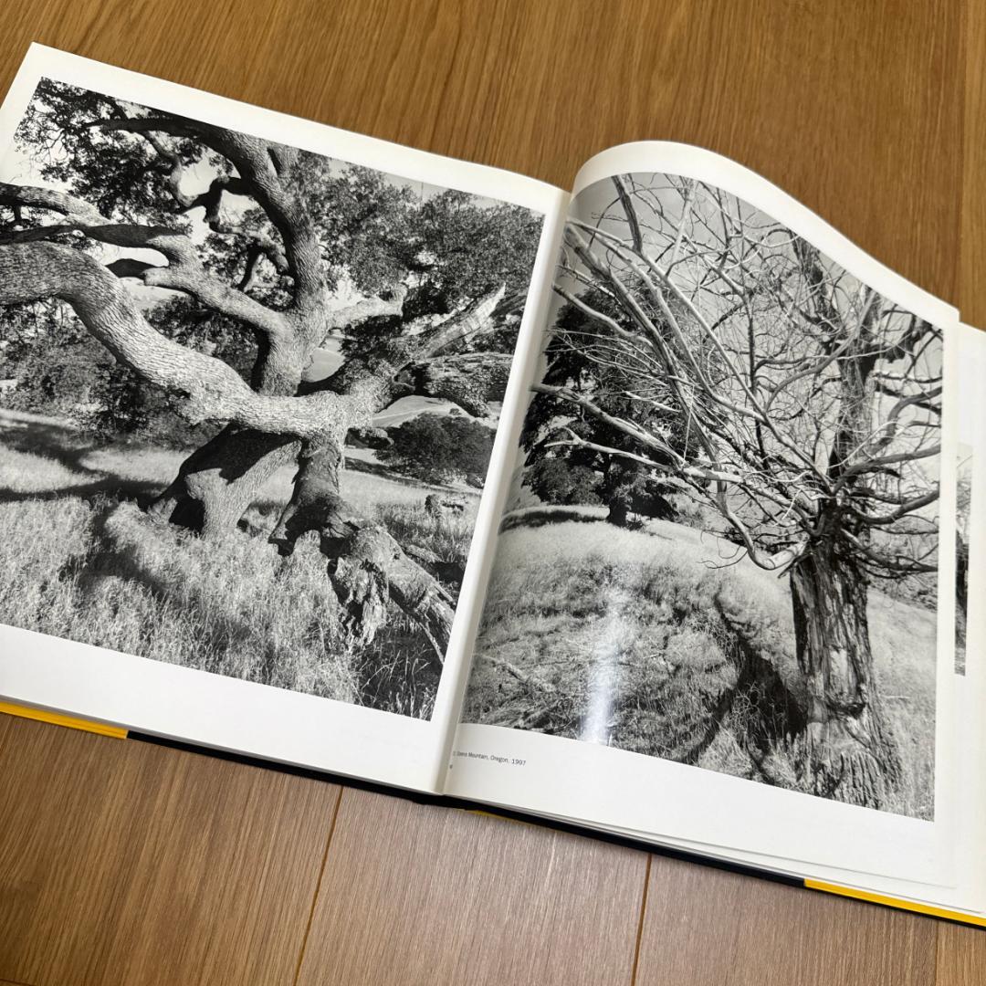 【絶版写真集・2005年MoMA】Friedlander リー・フリードランダー