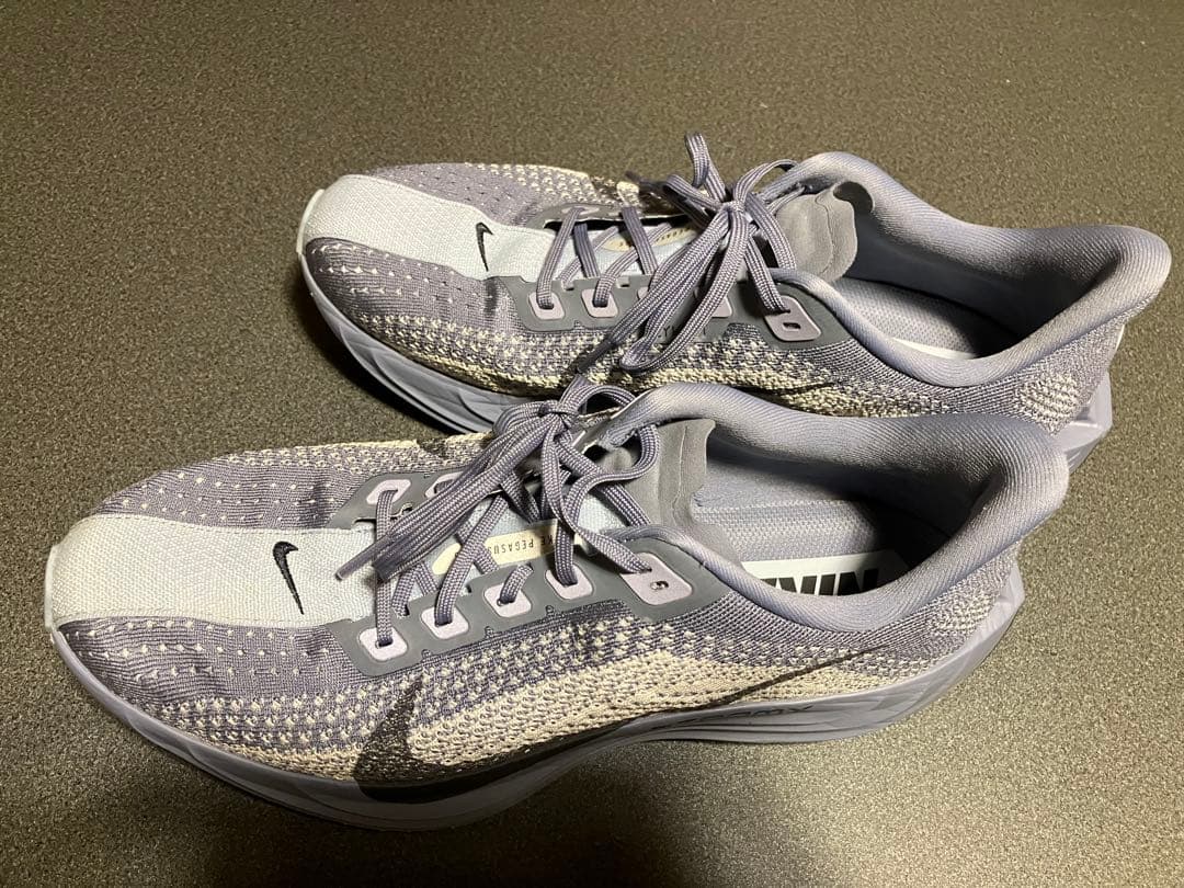 Nike ペガサスプラス 27.5㎝