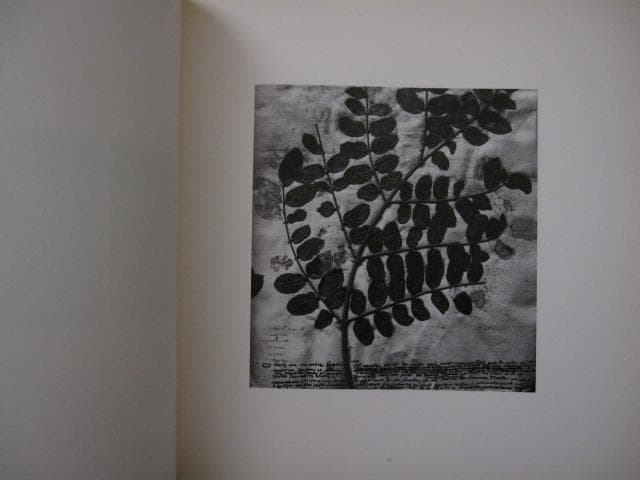 Paul Den Hollander　限定1300部