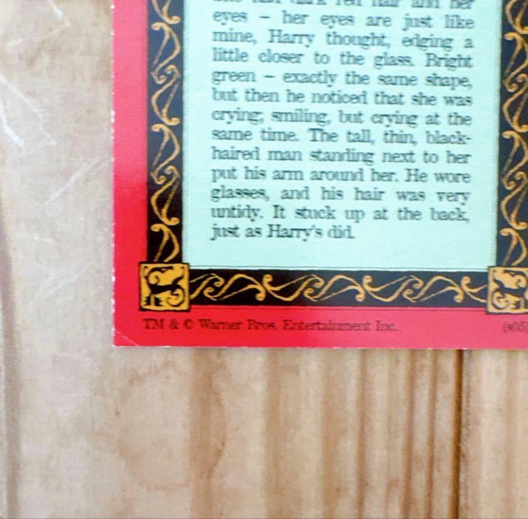 ハリーポッター　カエルチョコ　3DカードThe Potter Family