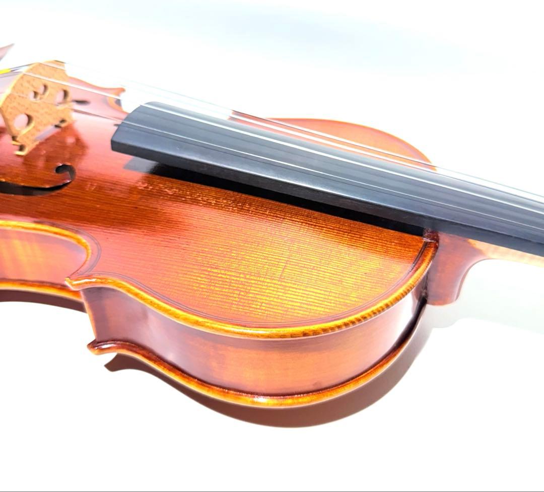 マンモス Pygmalius Derius Giappones 4/4