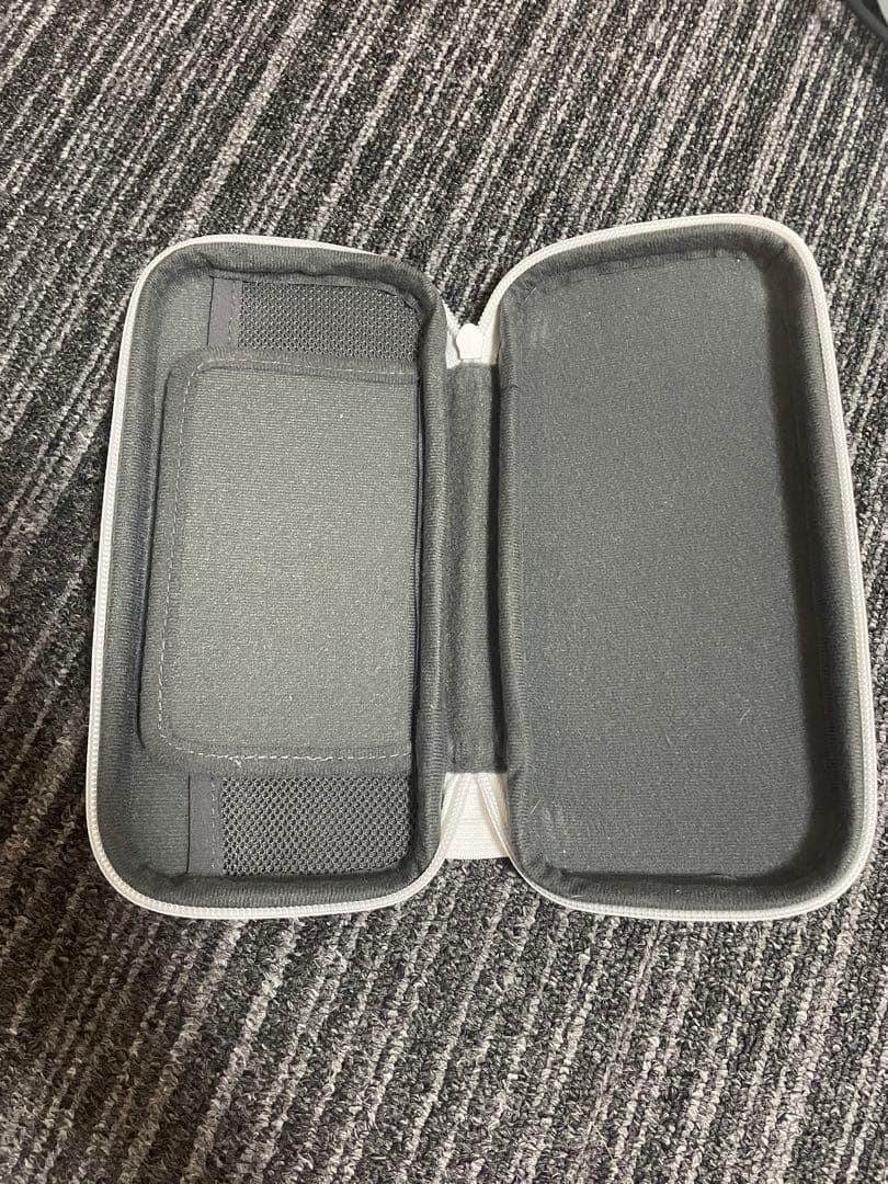 Nintendo switch Lite （本体ケース、カセット付き）