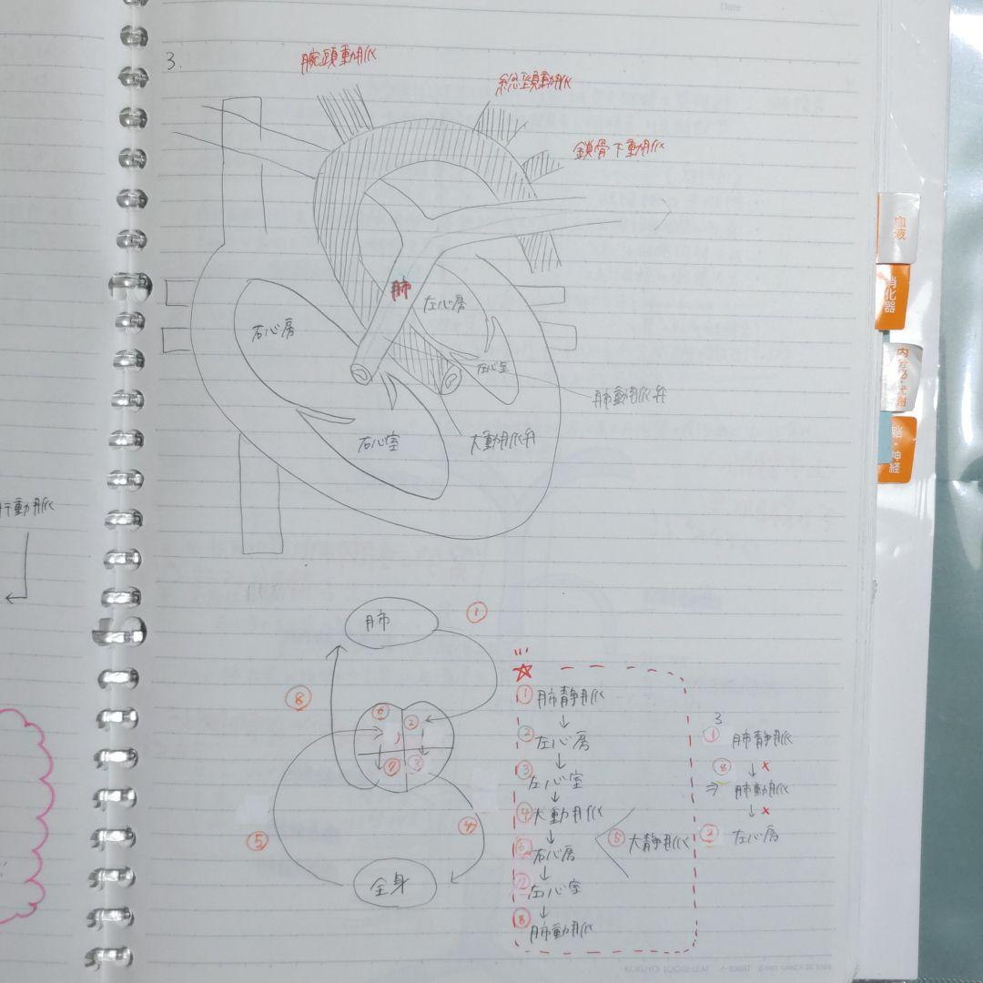 看護師国試　付箋ノート