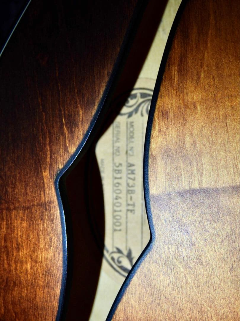 Ibanez / AM73B-TF Artcore セミアコ 中古