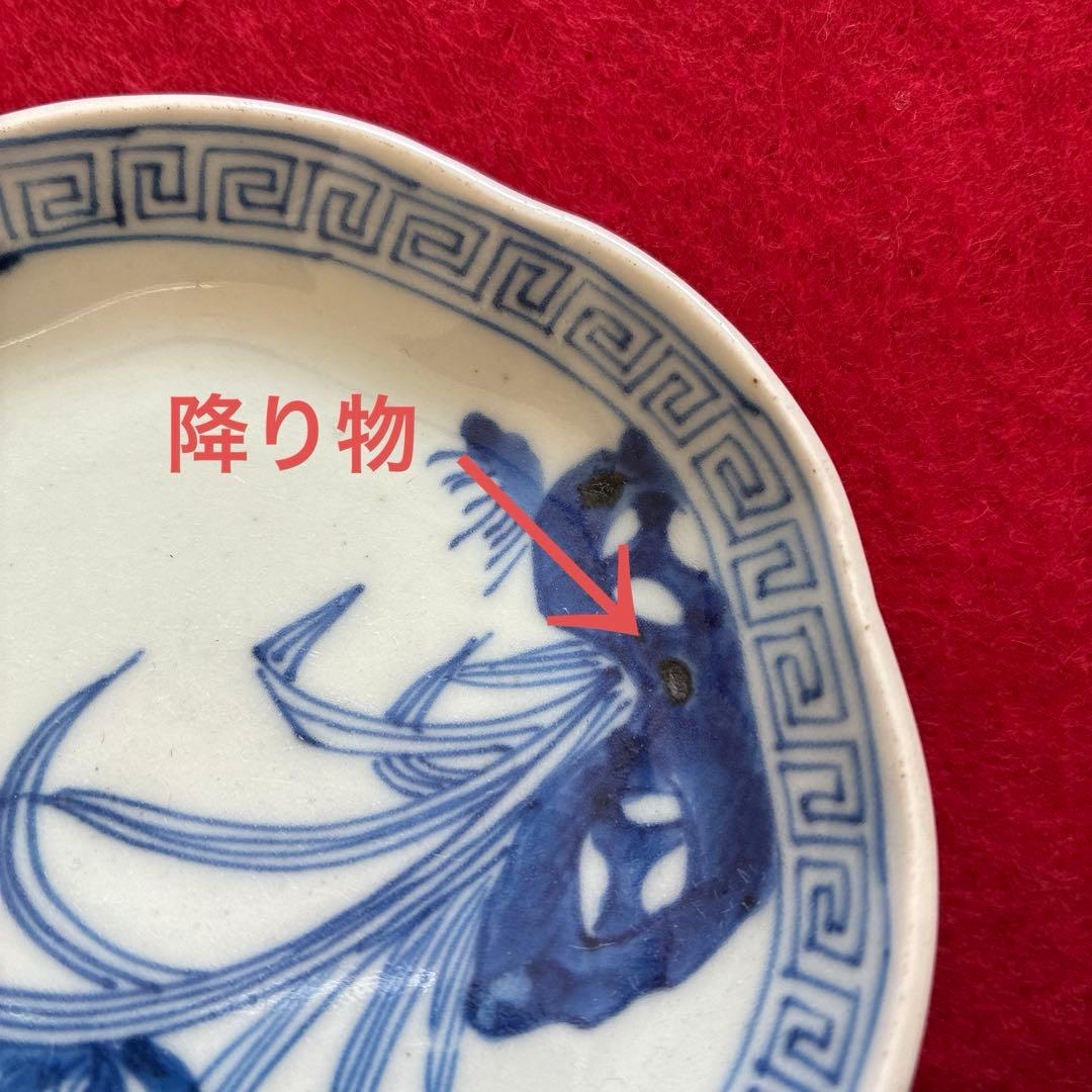 古伊万里　染付　花文　小皿　5枚組